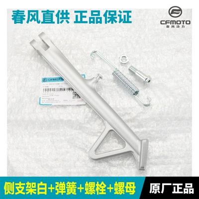 Factory 800Nk Side Stand: Motorcycle frame - bedge-bracestarlight-white-spring-screws-nuts