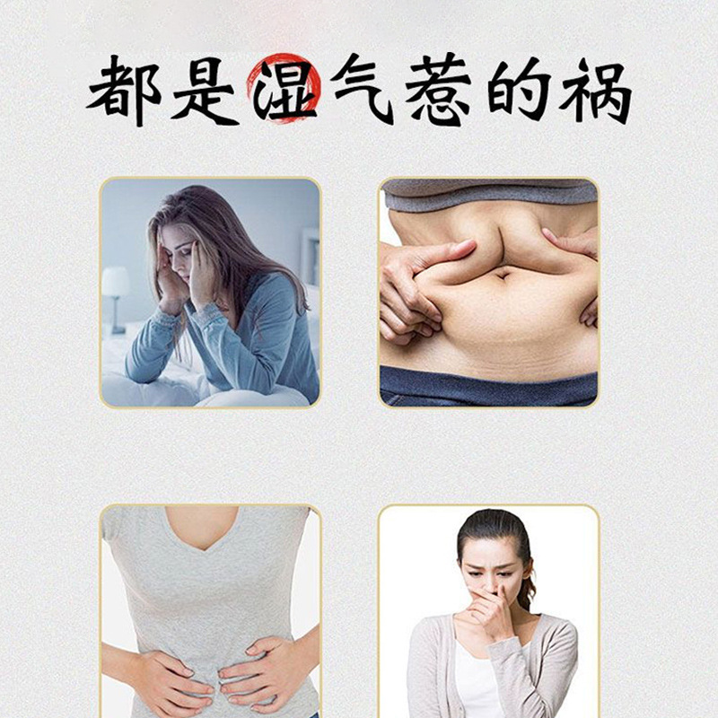 【精医阁茯湿膏】源头厂家一件代发 植物膏滋 方便冲调草本|undefined