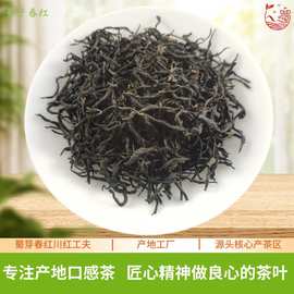 蜀芽春川红工夫红茶坚守原味本真经典原味核心产区厂家直供
