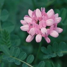 o¹ľN뻱̻໨ľm֦Сڻُ;GGݷN