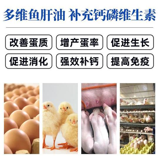 Concentrated Multi-Dimensional Cod Liver Oil, Veterinary Vitamin Ade, Multi-Dimensional Feed Additive, Calcium Supplement for Chickens, Ducks, Geese, Pigs, Cattle and Sheep