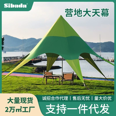 Outdoor Portable Folding Canopy Camping Tent Camp Camping Overnight Beach Picnic Canopy Sunscreen Awning
