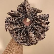 2025�������y���c���c�lȦ�߼��Џ͹����^�l�^�K�^����̖�ش�̖