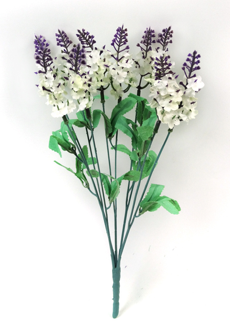 782e506a7597419c84350a1e380646