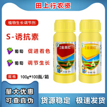 t S-T ѴMɫ߼trșֲL{