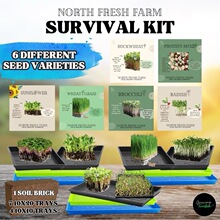 Y 71452 Hydroponic 32-Cell Seedling Tray ������ ŷ���羳