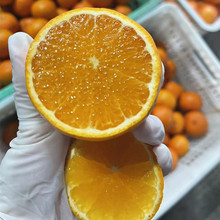 �V�����Q�ָ����rˮ���ָ̮����r��̽�����֭��Fժ�F�l����Ƥ��