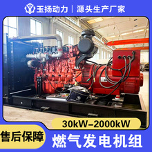 玉柴天然气发电机组 350KW燃气发电机LNG CNG发电机工厂主用电源