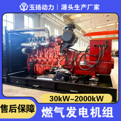 玉柴天然气发电机组 350KW燃气发电机LNG CNG发电机工厂主用电源