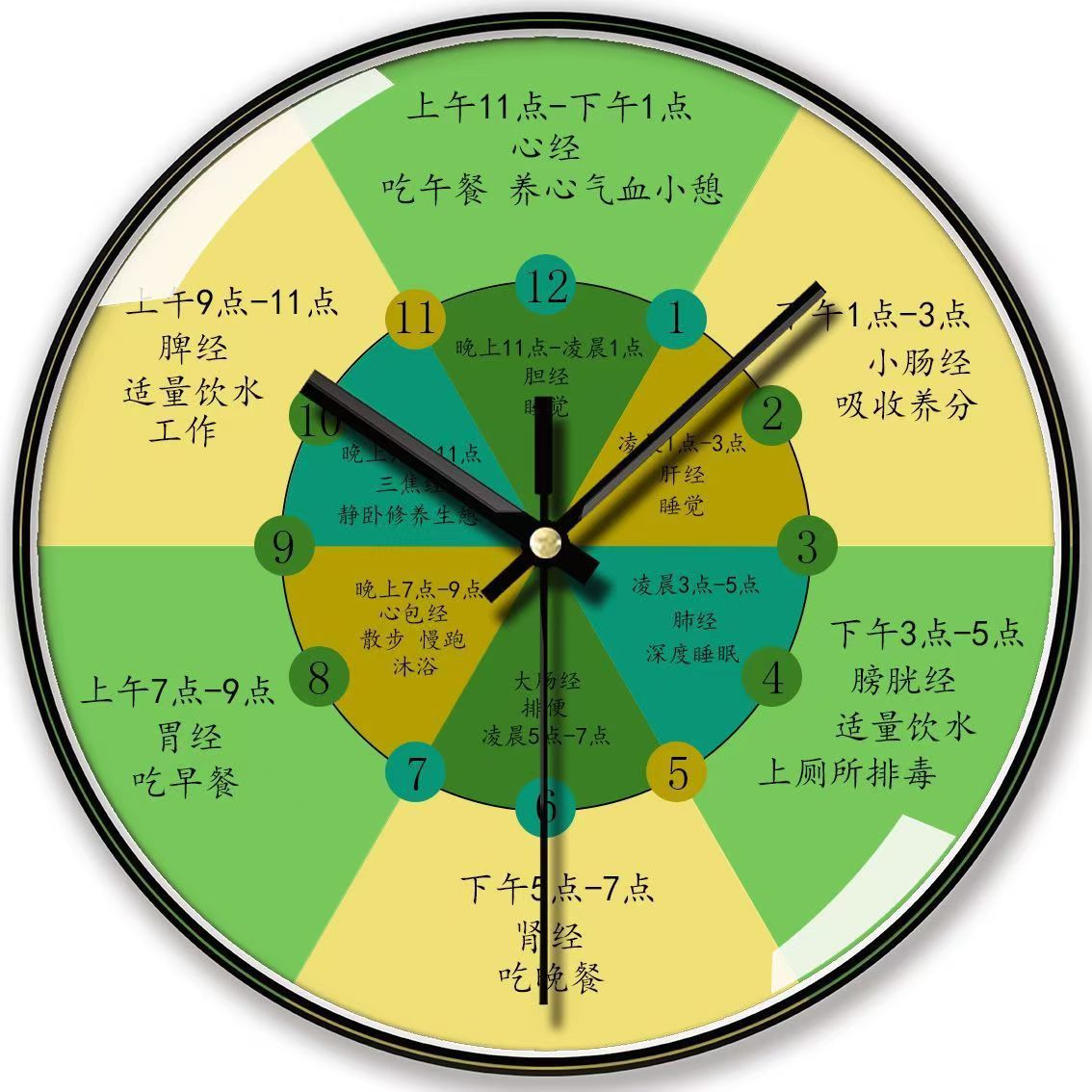 10.0inch cm YS01 검정색 바늘