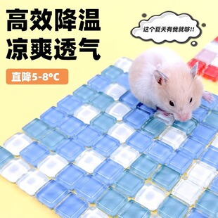 Hamster Supplies Ice Pad Summer Cooling Board Ice Nest Rabbit Mat Golden Bear Summer Ice House