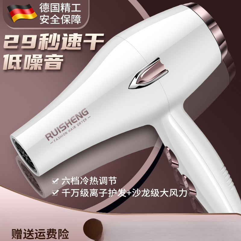 German Hairstylist Hair Dryer Hair Salon High-Power Household Strong Wind Hot and Cold Air Blue Light Negative Ion Hair Care Roll Free Shipping