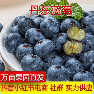 ���|L25�����{ݮ�����ЋD���rˮ�������oʳ���侩�|���\һ�����l