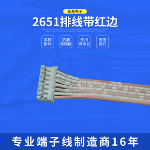 2651�ž����t߅2.0����LED������܇�K������������~�·��