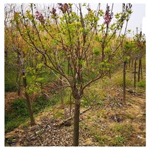 ϶^pľ@־G3-15ִ~U϶