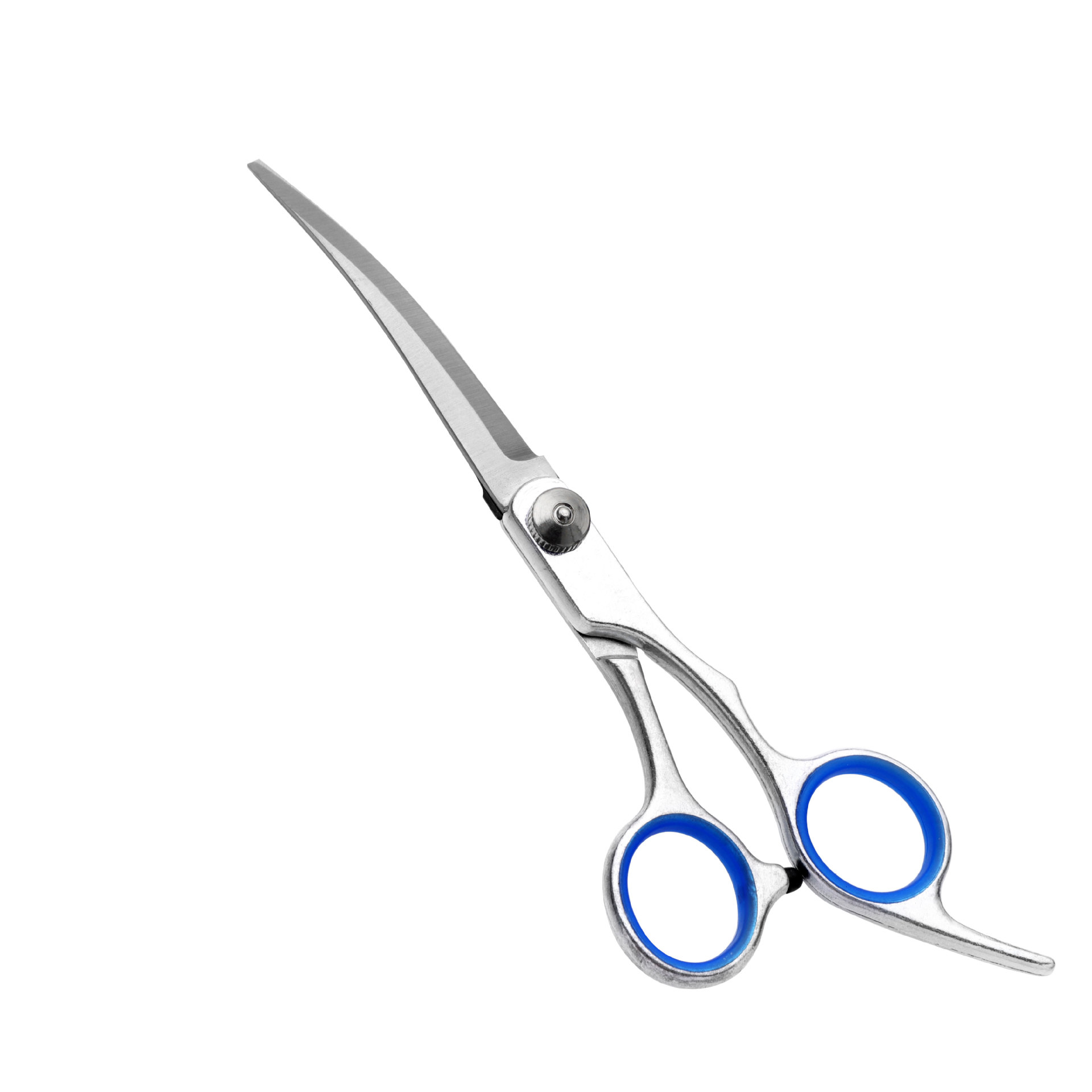 Curva inferior Tornillo blanco Anillo azul