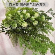 滨Gֲ ԭɫɫɫϵ c픴[lؔ~~Fڡɺ