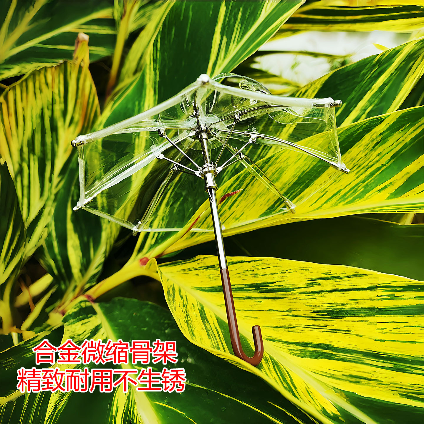 bjdɡ����12��͸������Сɡ���յ���΢���ɿ��Ϲ������ɡob11