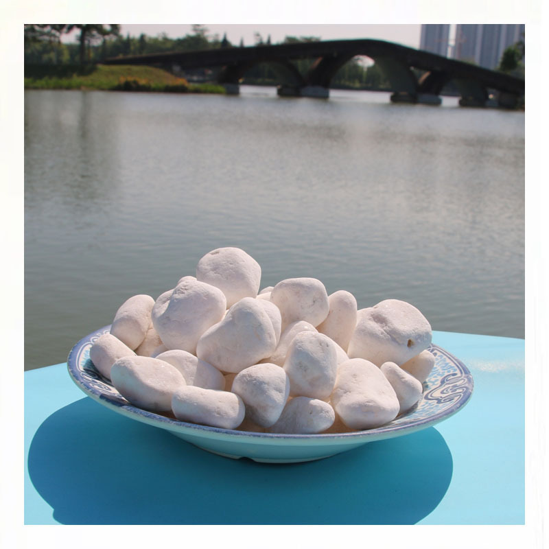 �滭2025�����ΰ�ɫ����ʯ��ʯ��ʽͥԺ�쾰ʯ����ֲ������ʯ԰��