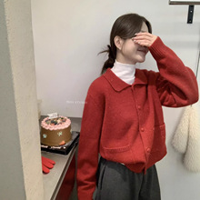 ��ֲ��˻��ﶬ��ʽ��Χ��������˿����˫�ڴ�������ůë��A06741