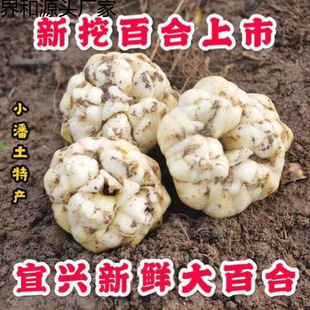 ���d���r�ٺ�΢��ʳ�ù�Ч�ͷ��m����ٺ���ĭ��ӱ��K�b