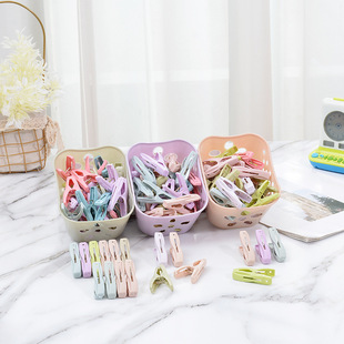 30���b���Ϗ����m�Ӵ��η��L�A���ô�������ë���·��̶��A�����b