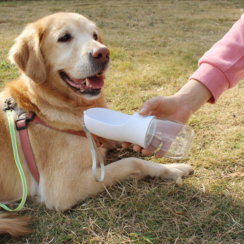 Suministros para mascotas perro gato al aire libre taza de agua al por mayor alimentación de agua para mascotas portátil tamaño pequeño taza de agua para mascotas