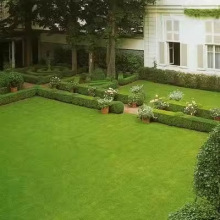 草坪种子草籽四季常青免修剪狗牙根果岭草护坡草皮耐寒绿化草种孑