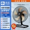 (Pure Copper Motor) 16-inch lying on the ground [Three-speed automatic head shake + 5-leaf Hurricane]