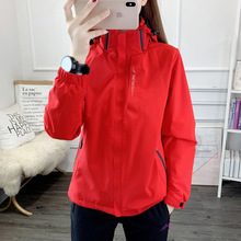 ����һ�_�h��Ů����ܛ�����L���׼ӽq��ˮ�ﶬ������������ӡlogo