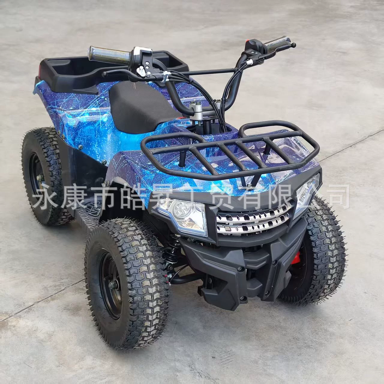 Электрический пляжный внедорожник SUV, 36V, 800W