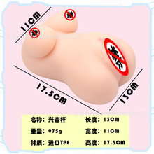 LDF�d�^��������ο������ꎵ����w�w�C�����޳����������