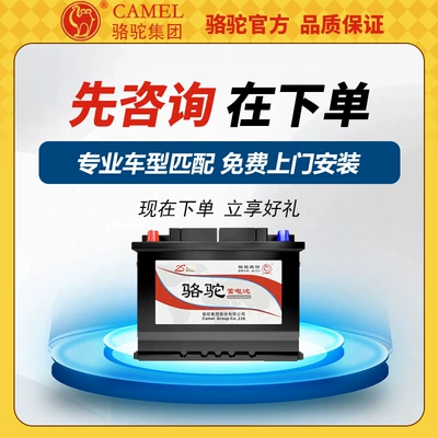 Suitable for Camel Battery Car battery/battery