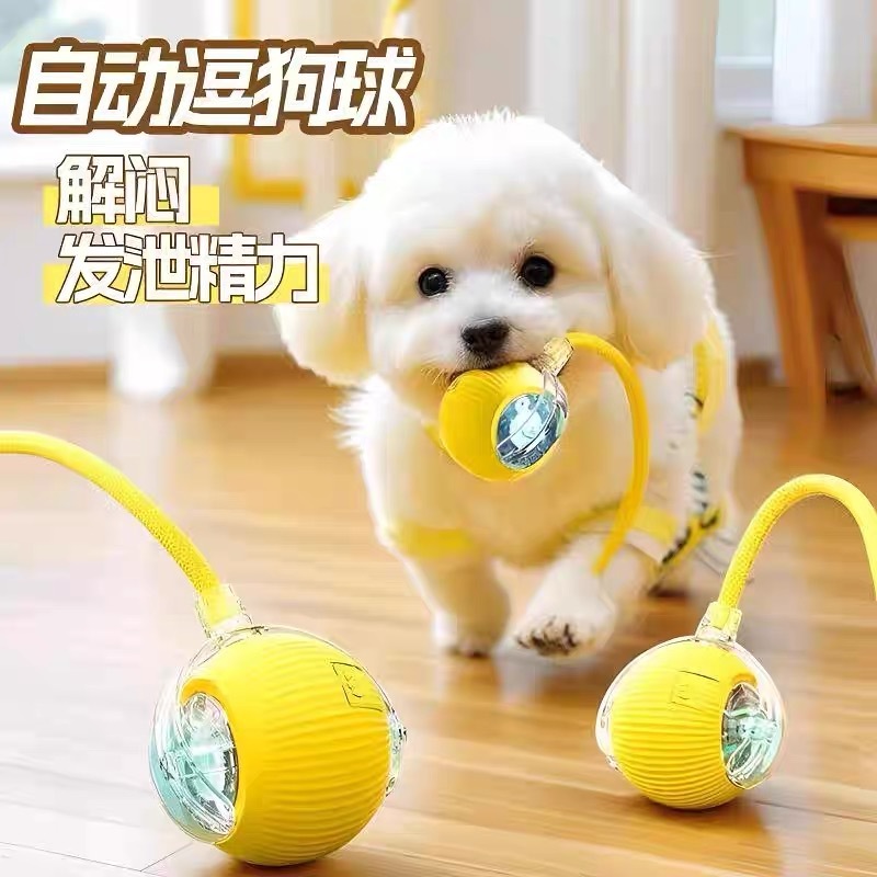 跨境爆款自动遛狗球狗玩具球耐咬自嗨宠物逗猫神器狗球猫咪突突球|undefined