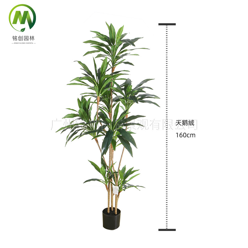 Simulación de paisaje de plantas verdes Terciopelo Planta falsa de hierro brasileño de alta gama Planta en maceta Simulación de suelo interior Planta verde con maceta