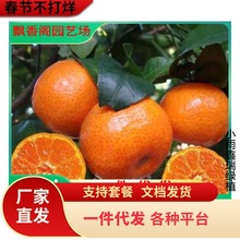 �����S�ҟo���۽���޽ӽ��Ә����������S���۽۹����箔��Y����