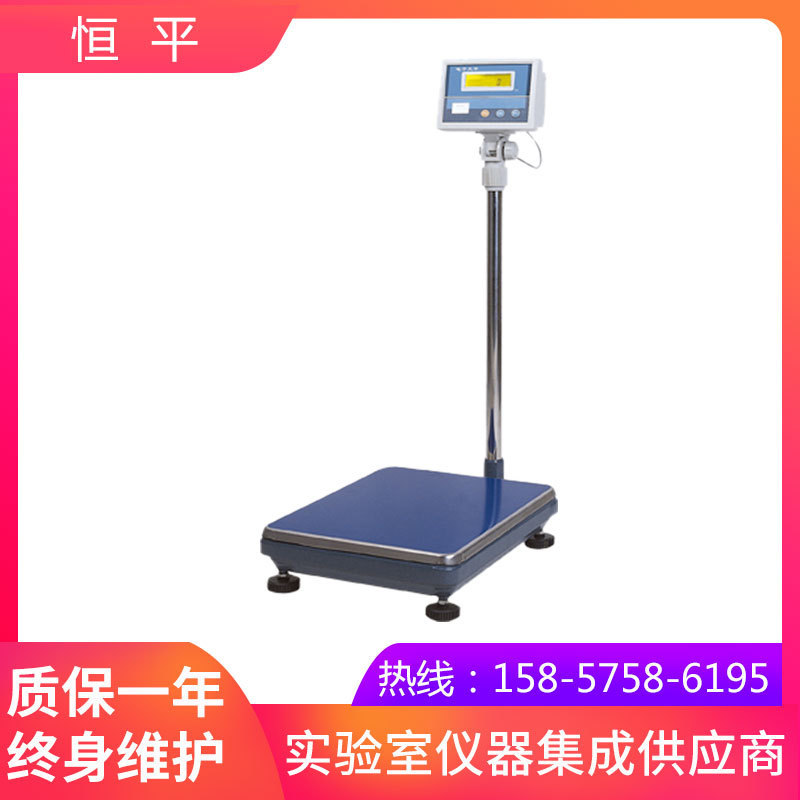 上海恒平    MP60K-1     大量称电子天平