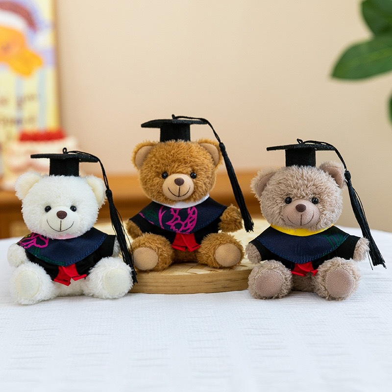 Dr. Bear Colgante muñeca puede imprimir LOGO sombrero doctor regalos de graduación uniformes de muñeca oso bolsos llaveros