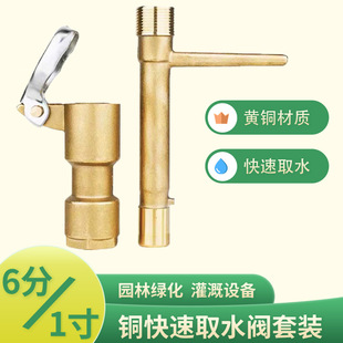 Horticultural quick water intake valve all copper green grass buried water intake 6 external thread mouth quick water intake PPR25