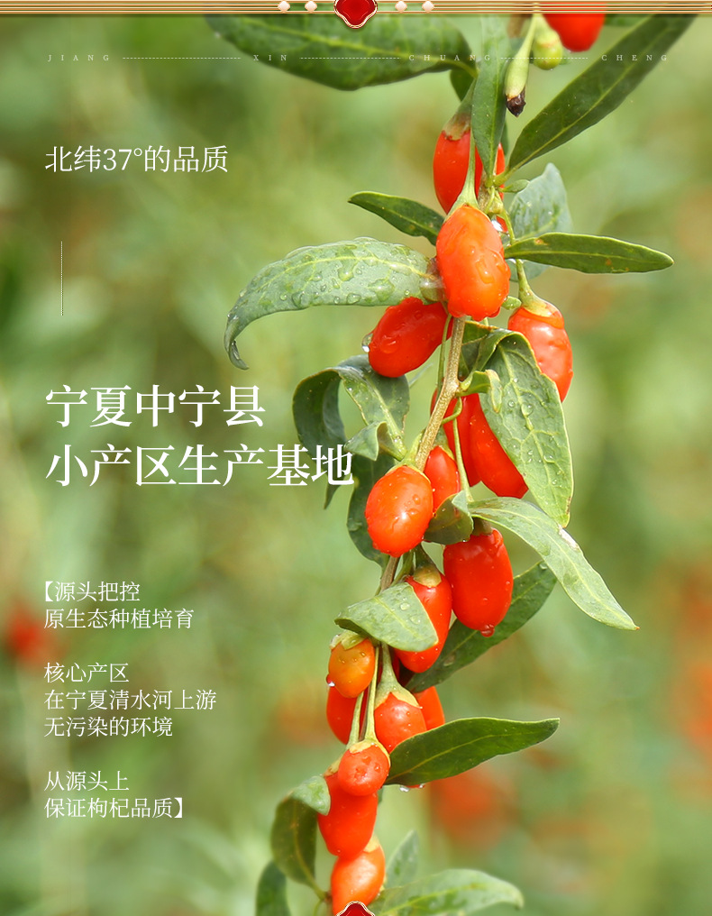 Ning'anbao Freeze-Dried Goji Berry Gift Box Ningxia Goji Gou Qi Zi 240g Ready to Eat specifications