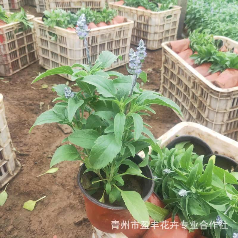 微信图片_202111101328073_1