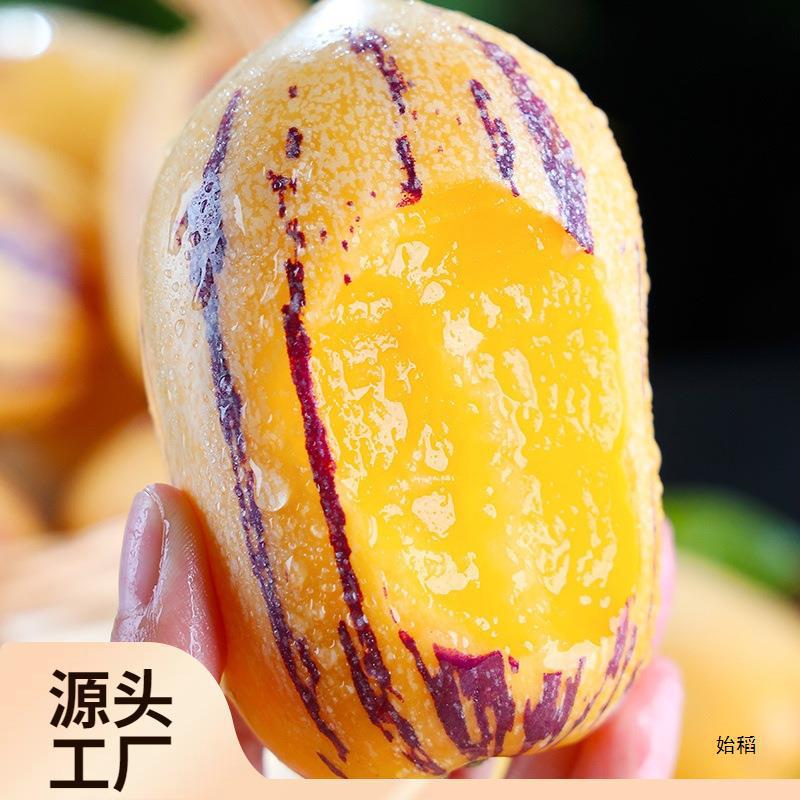 Gansu Minqin Desert Ginseng Fruit Seasonal Yellow Flesh Large Fresh Fruit 10lb Box Long Fruit Free Shipping