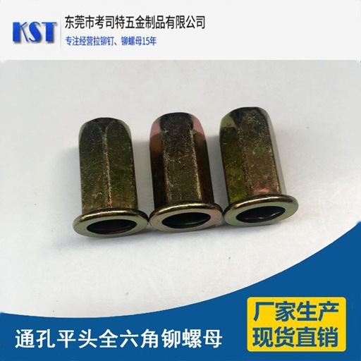 通孔平头全六角铆螺母 碳钢镀锌 蓝白锌彩锌 平头六角铁拉帽螺母