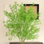 仿真客厅布置植物路引