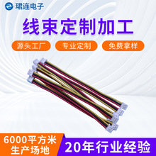 定制线束端子线束排线ph2.0连接线材电器内部线束端子线加工