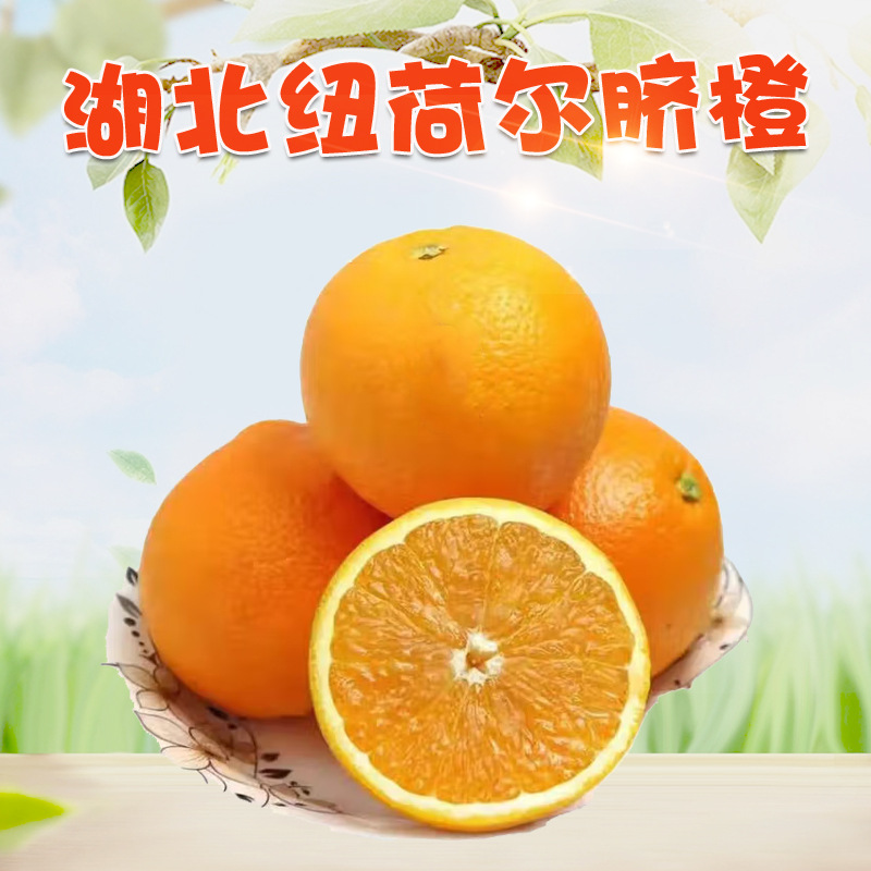 湖北纽荷尔脐橙 代发3/9斤新鲜早熟橙子当季柑橘皮薄多汁当季水果