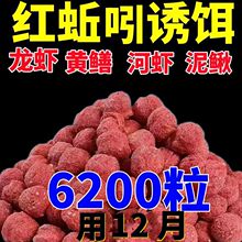 �S�X���r�T�D���q���~С�ӻ\�W�s�~�r�\С���r�X�~���r�����D��