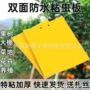 双面家用诱虫黄色粘虫板