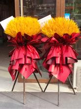 �_�I���@�����ɻ����w�c��һ������diy�������b���_���_�����u