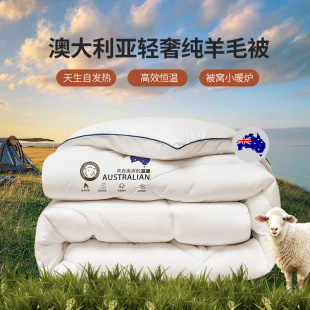 100% Pure Australian Imported Wool Quilt Core Gift Spring & Fall Quilt Thickeneded Warm Winter Quilt Nantong City Quilt
